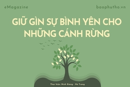 Giữ gìn sự bình yên cho những cánh rừng