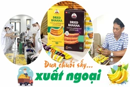 Đưa chuối sấy... xuất ngoại