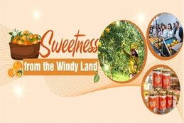 Sweetness from the Windy Land
