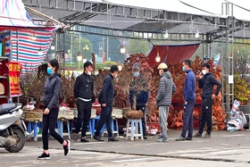 “Chở” Xuân đến mọi nhà