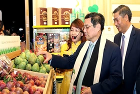 Khai mạc Festival trái cây và sản phẩm OCOP Việt Nam năm 2022