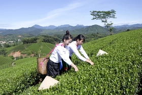 Tận dụng lợi thế phát triển du lịch nông nghiệp Đất Tổ