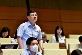 Phó Thủ tướng Thường trực Chính phủ trả lời chất vấn của đại biểu Quốc hội