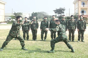 Đẩy mạnh điều chỉnh tổ chức lực lượng trong toàn quân, đáp ứng yêu cầu xây dựng Quân đội tinh, gọn, mạnh