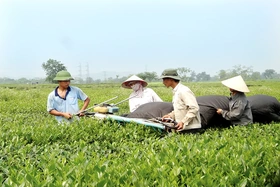 Nghị quyết phân bổ vốn ngân sách Trung ương thực hiện các chương trình mục tiêu Quốc gia năm 2022