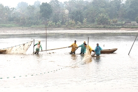 Về khoang cá đầy