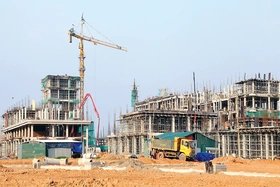 Đảng chỉ đường, dân đồng thuận