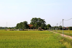 Kỳ II: Siết chặt đầu vào