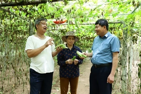 Hợp sức khơi trí tuệ