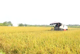 “Dân vận khéo”- Từ mô hình cụ thể