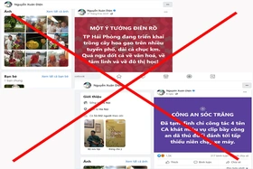 Văn hoá phản biện