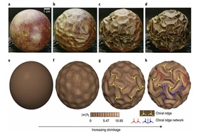 Trung Quốc phát triển robot có khả năng cầm nắm thông minh