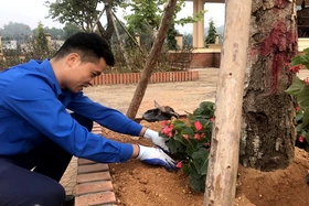 Chỉnh trang Khu Di tích lịch sử Quốc gia Chiến thắng Chân Mộng - Trạm Thản