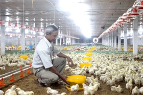 Ứng dụng khoa học công nghệ trong sản xuất nông nghiệp