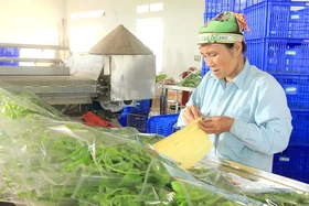 Xây dựng nhãn hiệu sản phẩm