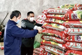 Nâng cao hiệu quả quản lý sản xuất, kinh doanh phân bón