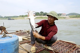 Làng “thủy quái”