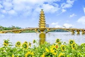 Lá phổi xanh giữa lòng thành phố