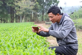 Thúc đẩy chuyển đổi số trong các hợp tác xã