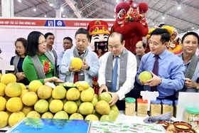 Phát triển kinh tế tập thể, góp phần thực hiện thắng lợi các mục tiêu kinh tế - xã hội