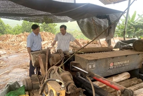 Đoan Hùng: Kiên quyết xử lý những điểm nóng về ô nhiễm môi trường