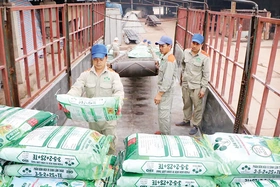 Hướng tới nền nông nghiệp xanh và bền vững