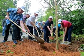 Lễ phát động trồng cây “Đời đời nhớ ơn Bác Hồ”