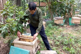 Phát triển kinh tế ở Hà Thạch