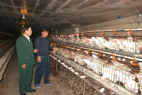 Phát huy vai trò “Cựu chiến binh gương mẫu”