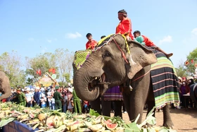 Thúc đẩy phát triển du lịch vùng biên Buôn Đôn