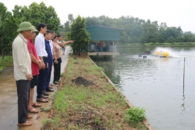 Ứng dụng công nghệ sinh học trong quản lý môi trường ao nuôi