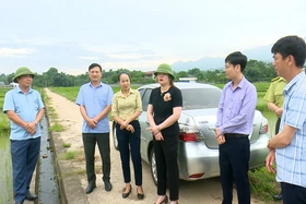 Thanh Sơn phấn đấu đưa lúa nếp Quạ Đen trở thành sản phẩm OCOP