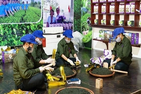 Dự án phát triển chè búp tím Thanh Ba vào chung kết cấp vùng Cuộc thi Phụ nữ khởi nghiệp