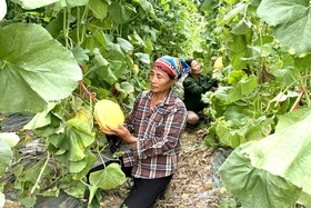 Quản lý hiệu quả, phát triển bền vững