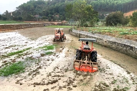 Chí Đám thực hiện các khâu đột phá