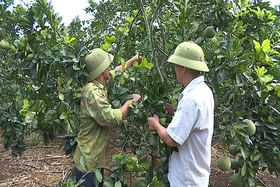 Hùng Xuyên huy động nguồn lực xây nông thôn mới