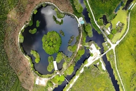 Giữa rừng U Minh Thượng