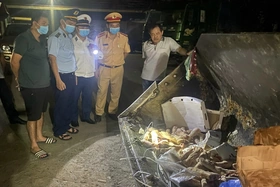 Liên tiếp phát hiện, xử lý và buộc tiêu hủy trên 300kg nội tạng động vật không rõ nguồn gốc