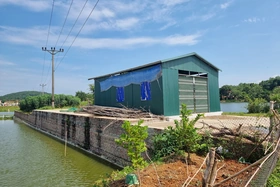 Làm rõ đơn phản ánh của ông Nguyễn Trung Thành, xã Xương Thịnh, huyện Cẩm Khê về tình trạng xây công trình trên đất ruộng