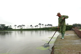 Nâng cao chất lượng cuộc sống người dân