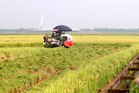 13 hợp tác xã được hỗ trợ ứng dụng khoa học kỹ thuật công nghệ mới