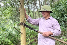 Tăng trưởng đi đôi với chất lượng tín dụng