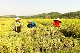 Hiệu quả từ nguồn vốn chính sách