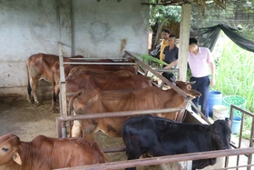 4,73 tỷ đồng cho công tác phòng chống dịch bệnh động vật