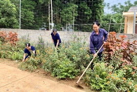 Cẩm Khê có ba xã đạt chuẩn nông thôn mới, nông thôn mới nâng cao năm 2023