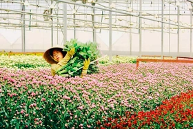 Phát triển du lịch Lâm Đồng trở thành “Thiên đường xanh”