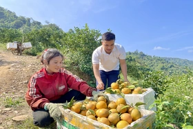 Thực hiện nếp sống văn hóa  ở Thu  Cúc