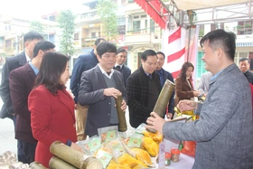 Kết nối, tiêu thụ nông sản trong và ngoài tỉnh