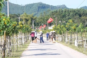 Nhân rộng những “tuyến đường kiểu mẫu”