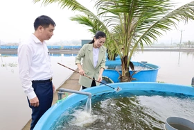 Cô gái 9X với doanh thu “khủng” từ nghề truyền thống